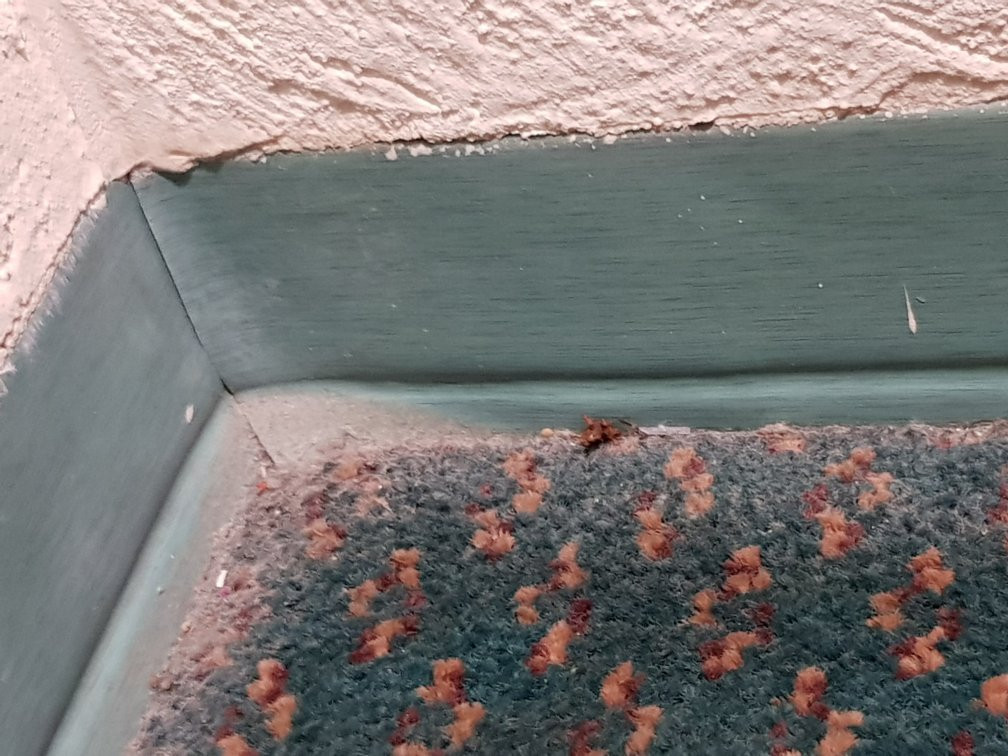 Quality Inn Aguascalientes