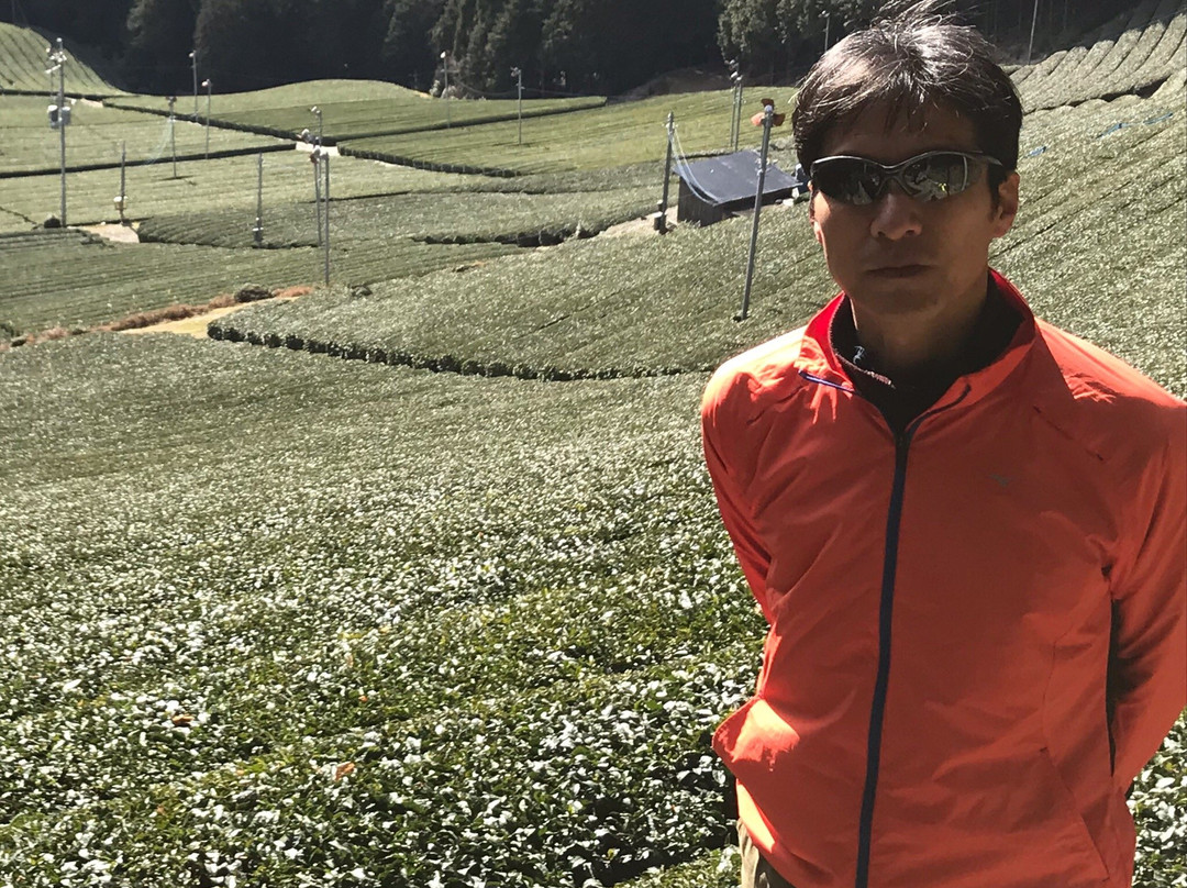 Mt. Jubu-和束町必去景点