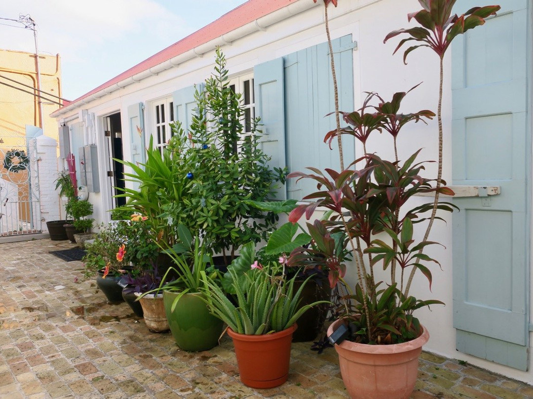 At Home In The Tropics主图