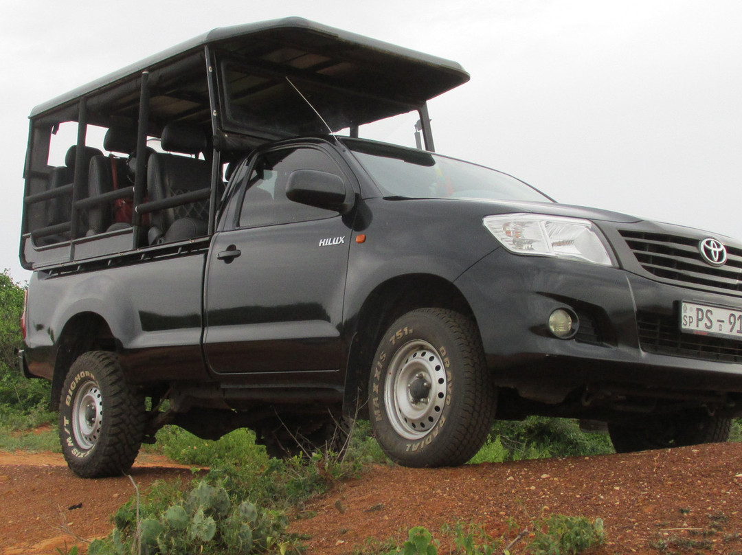 Ruwan Yala Jeep Safari景点图片