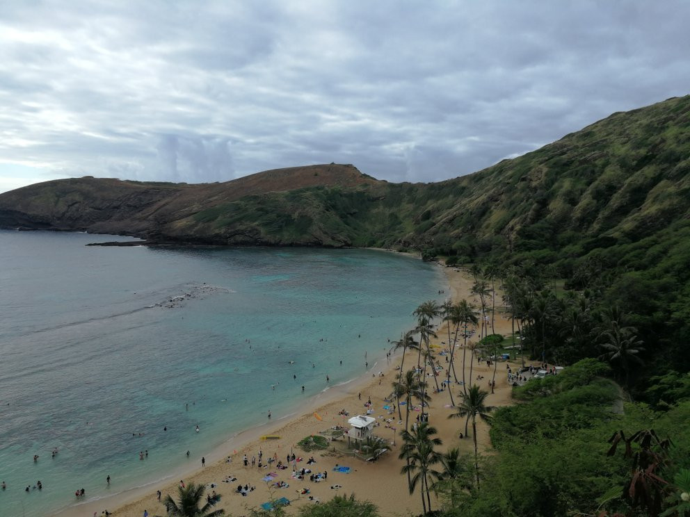 Snorkelfest Snorkel Hanauma Bay-火奴鲁鲁必去景点