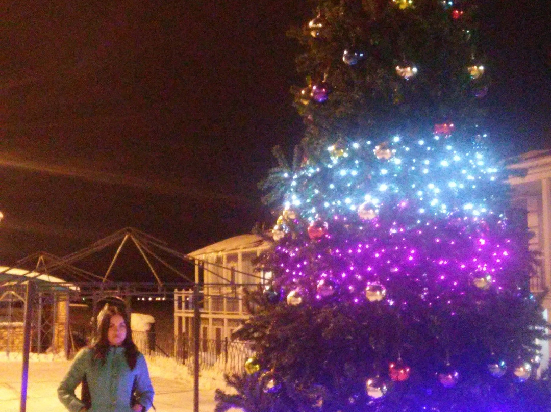 Mirnaya Pristan Hotel主图