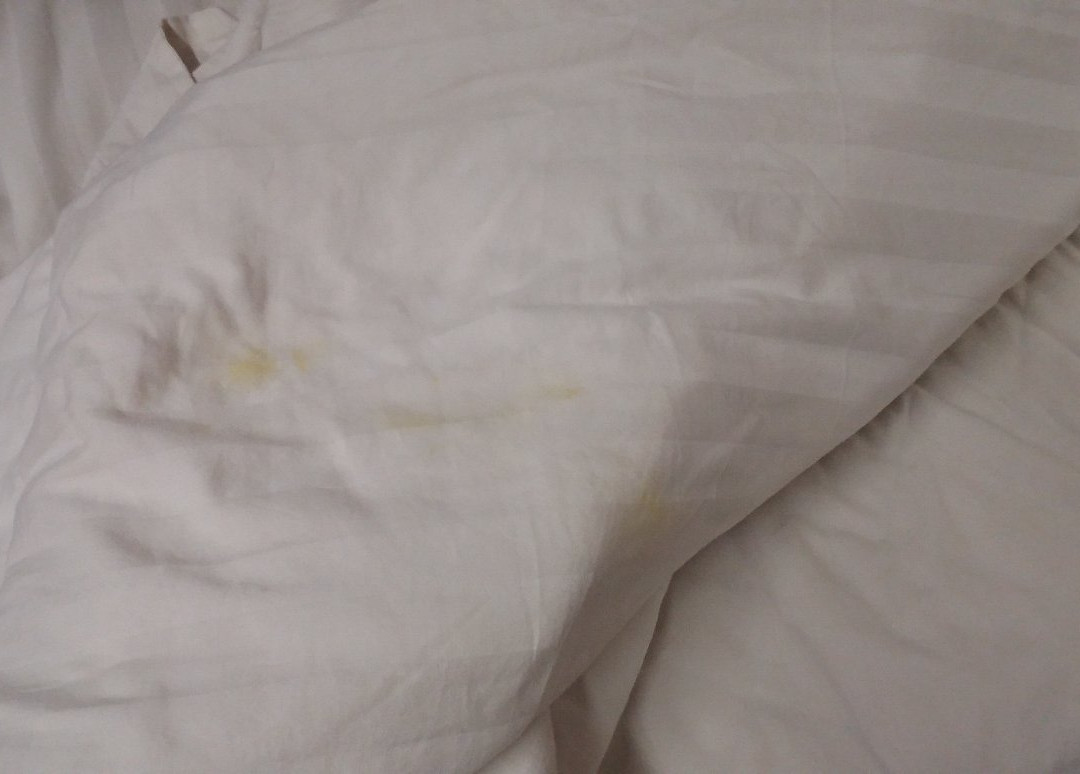 图嗯艾哈迈达巴德酒店主图