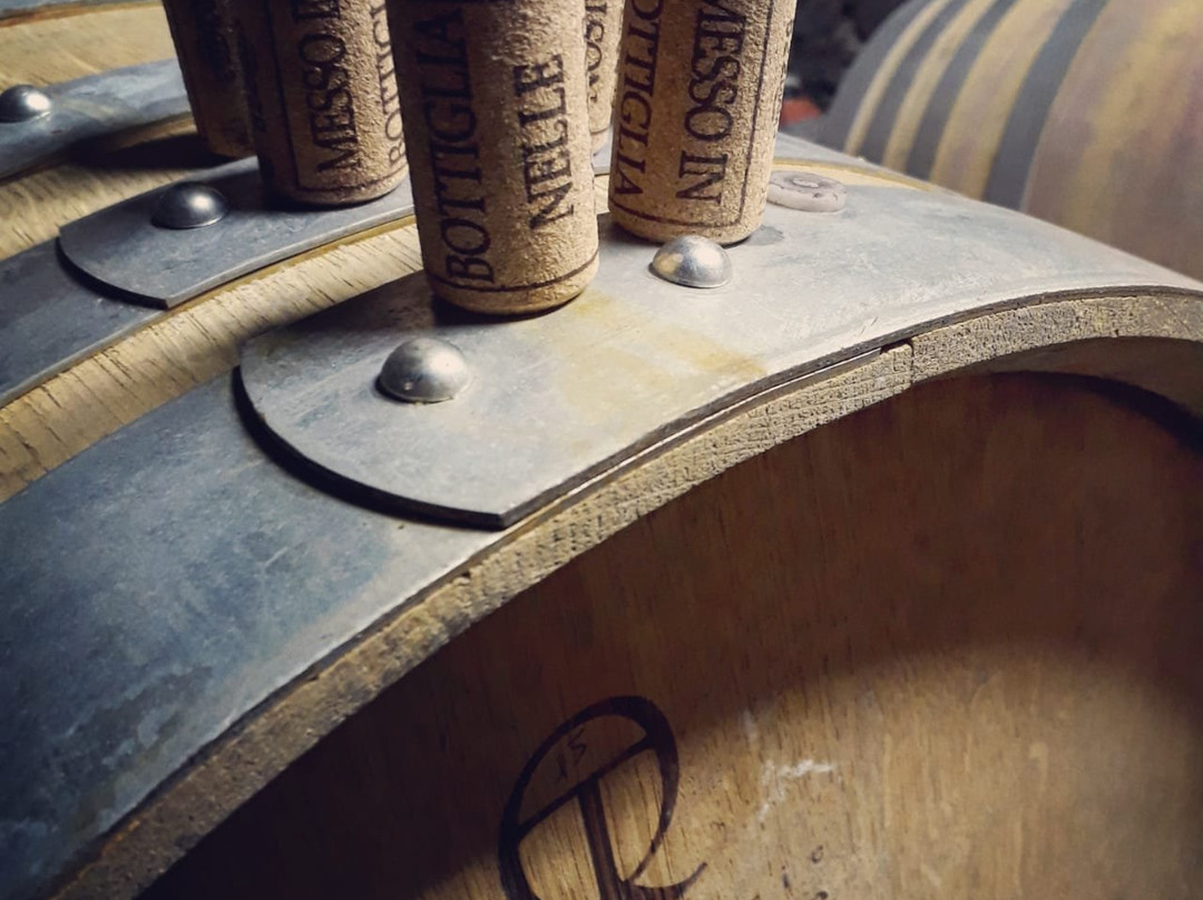 Giro di Vite-Pinerolo必去景点