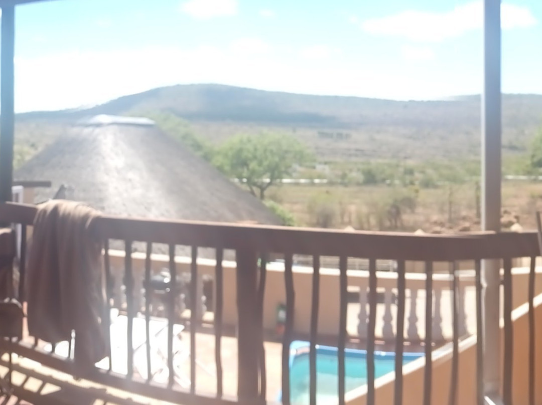 Pumba's Africa主图