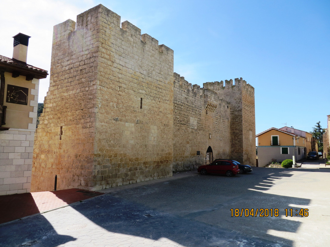 Castillo - Palacio de los Zuniga景点图片