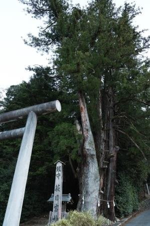 Hagihiyoshi Shrine-都几川町必去景点