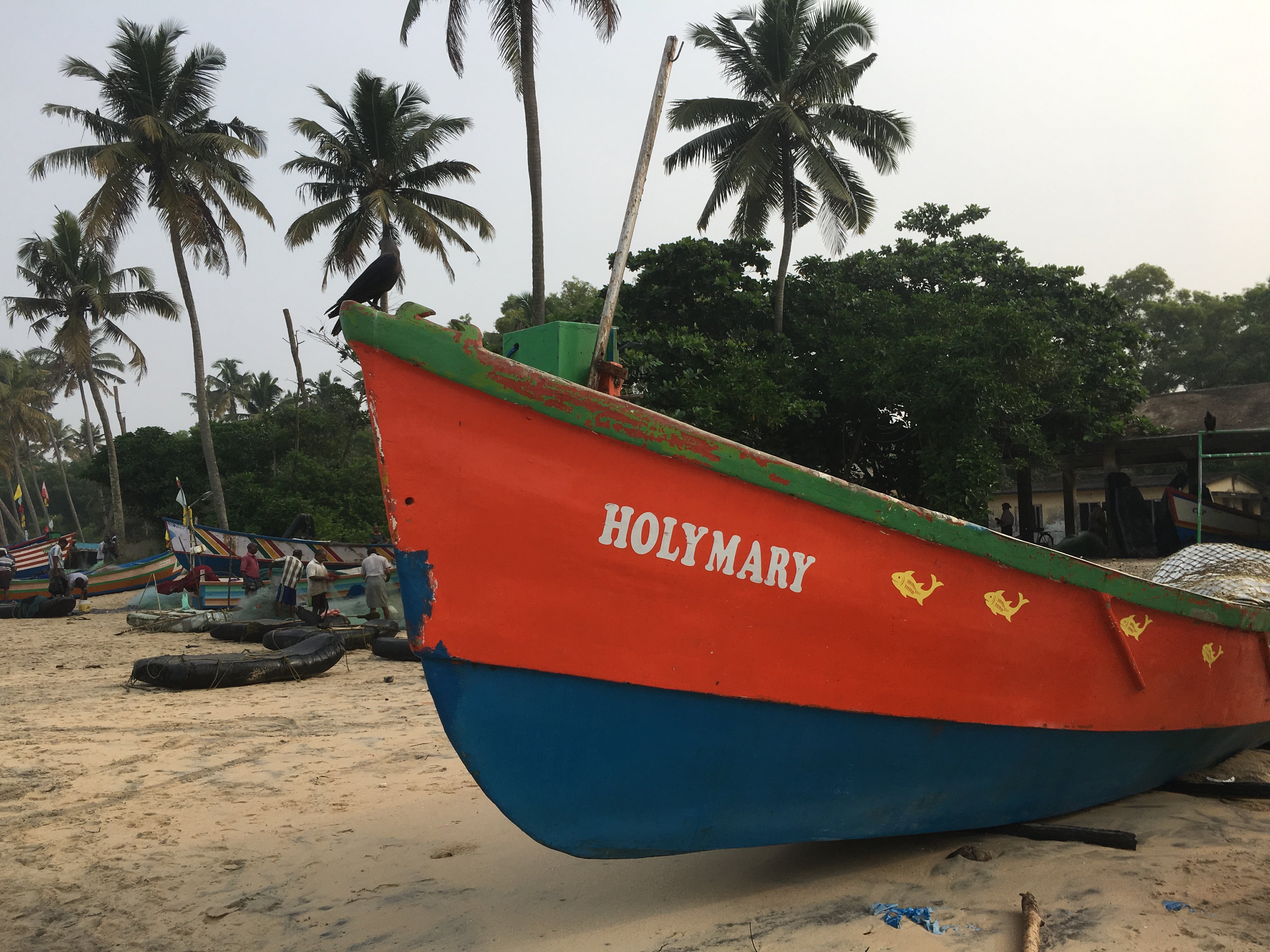 Marari Secret Beach Yoga Homestay-泳池