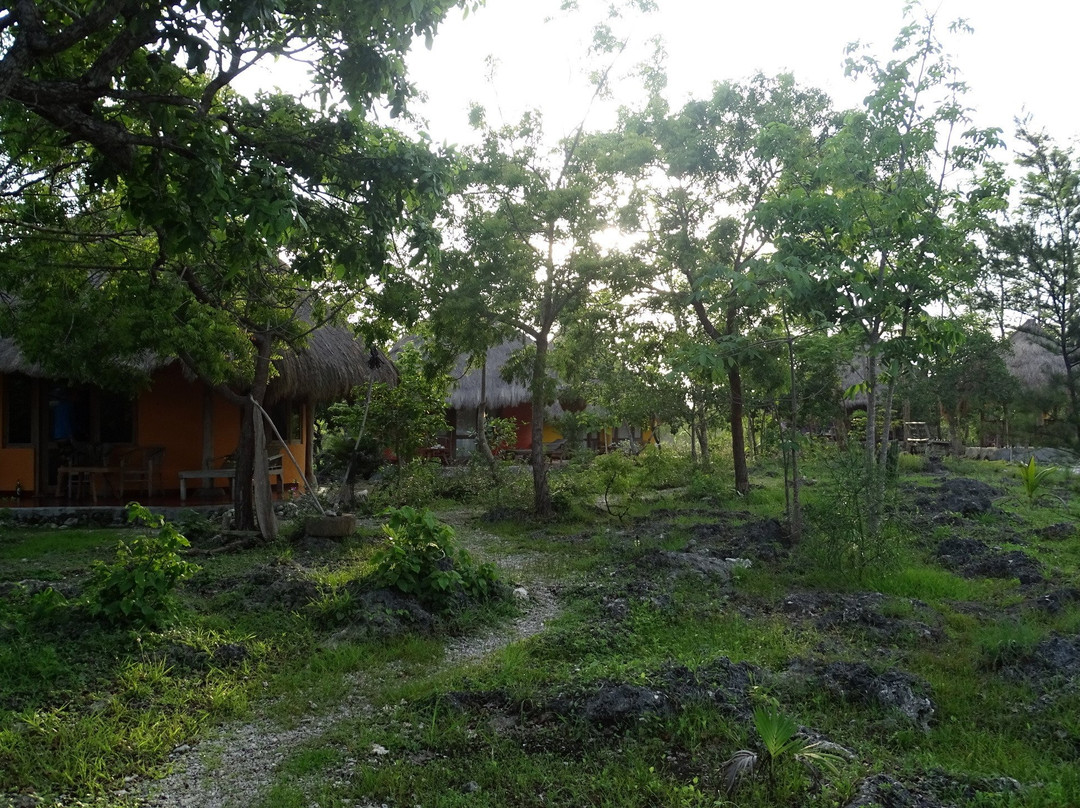 Oro Beach Houses主图