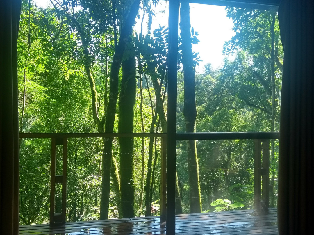 Mocona Virgin Lodge主图