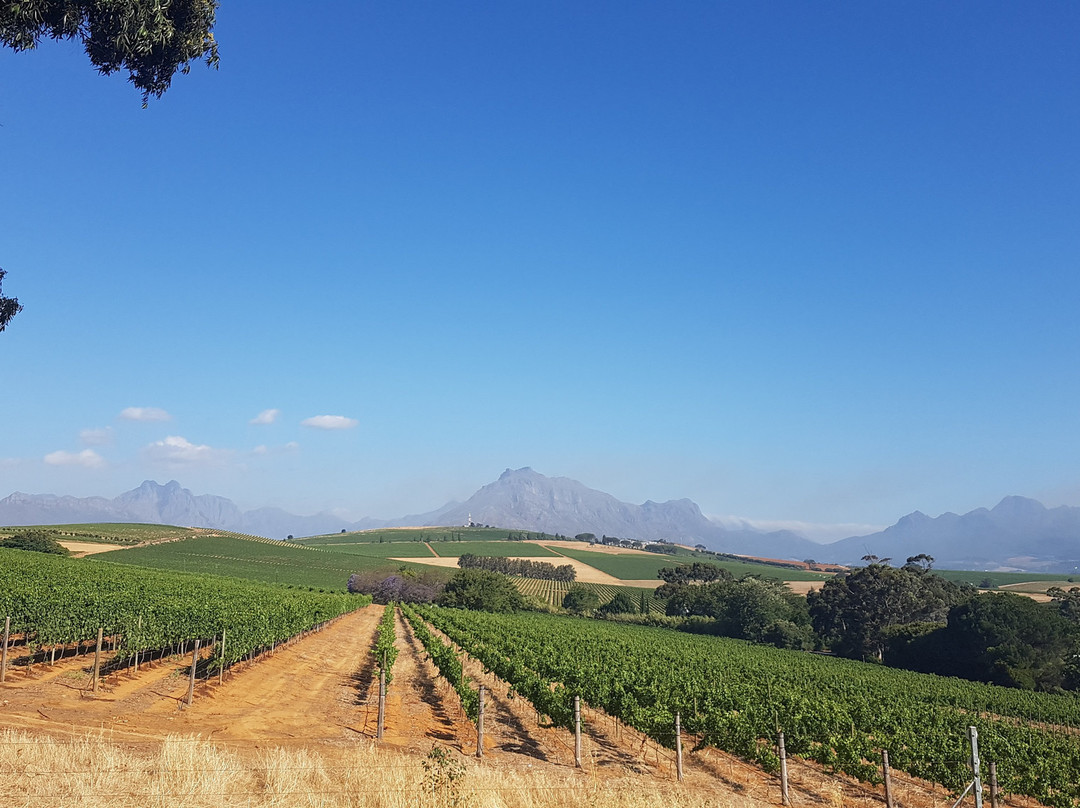 Devon Valley Hotel主图