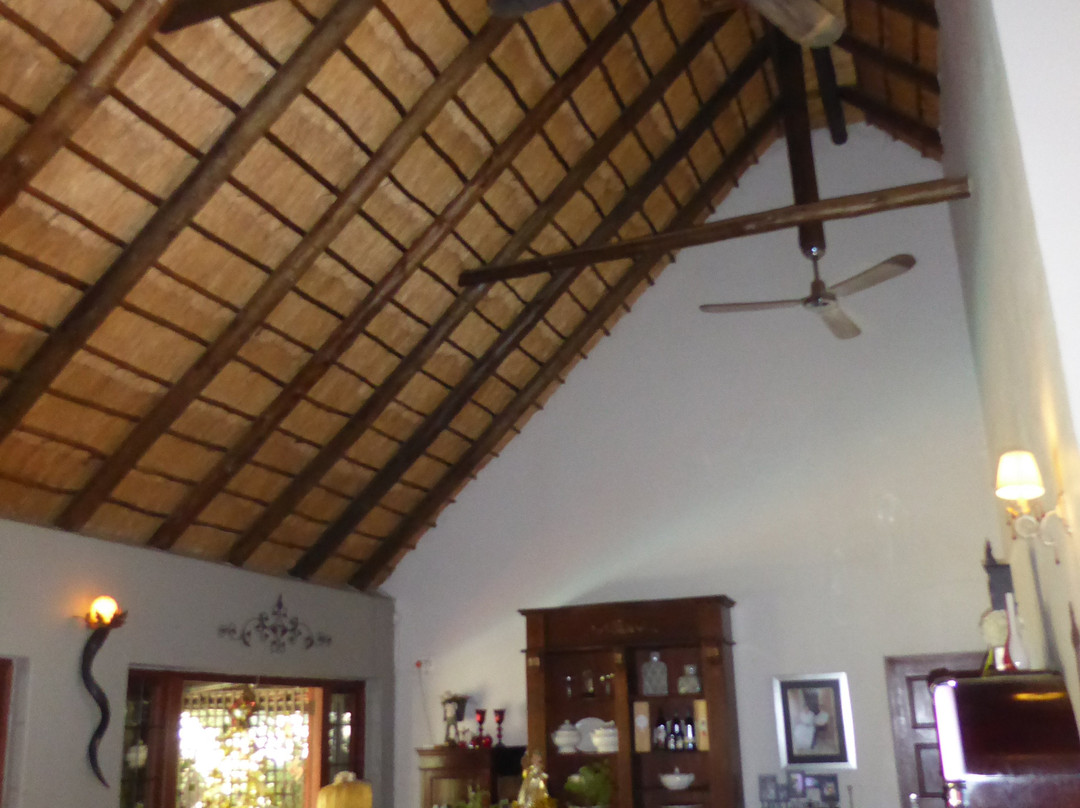 Kruger Allo Bed & Breakfast主图