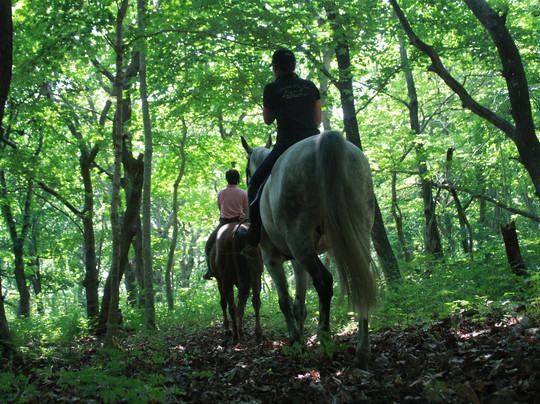 Niikappu Horoshiri Horse Riding Club-新冠町必去景点