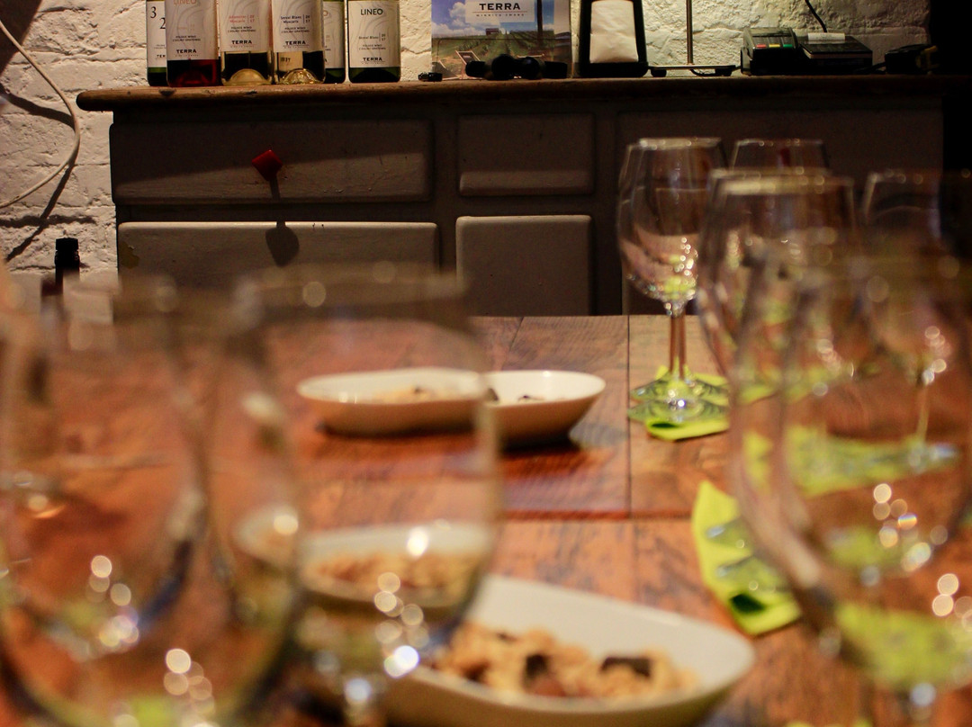TERRA Winnica Smaku Winery景点图片