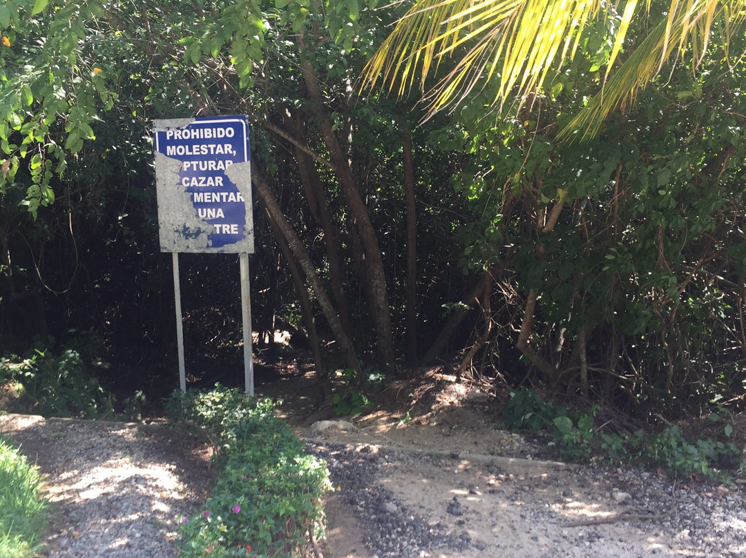 Playa Organo-瓦图尔科必去景点