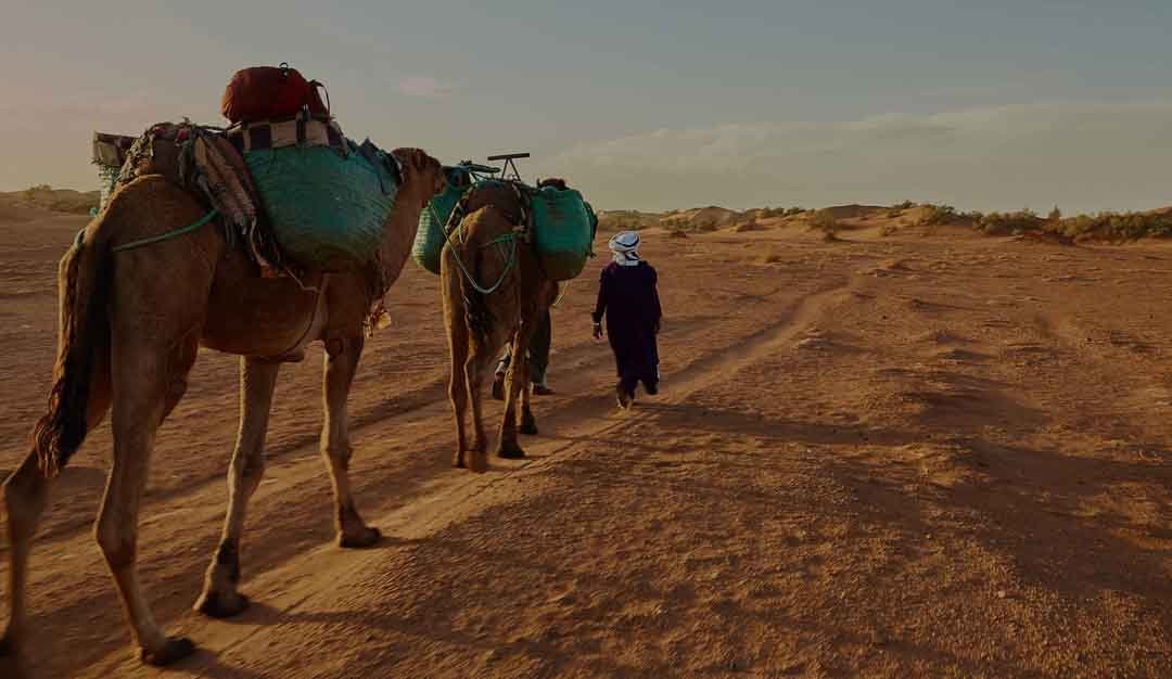 Morocco Arc-马拉喀什必去景点