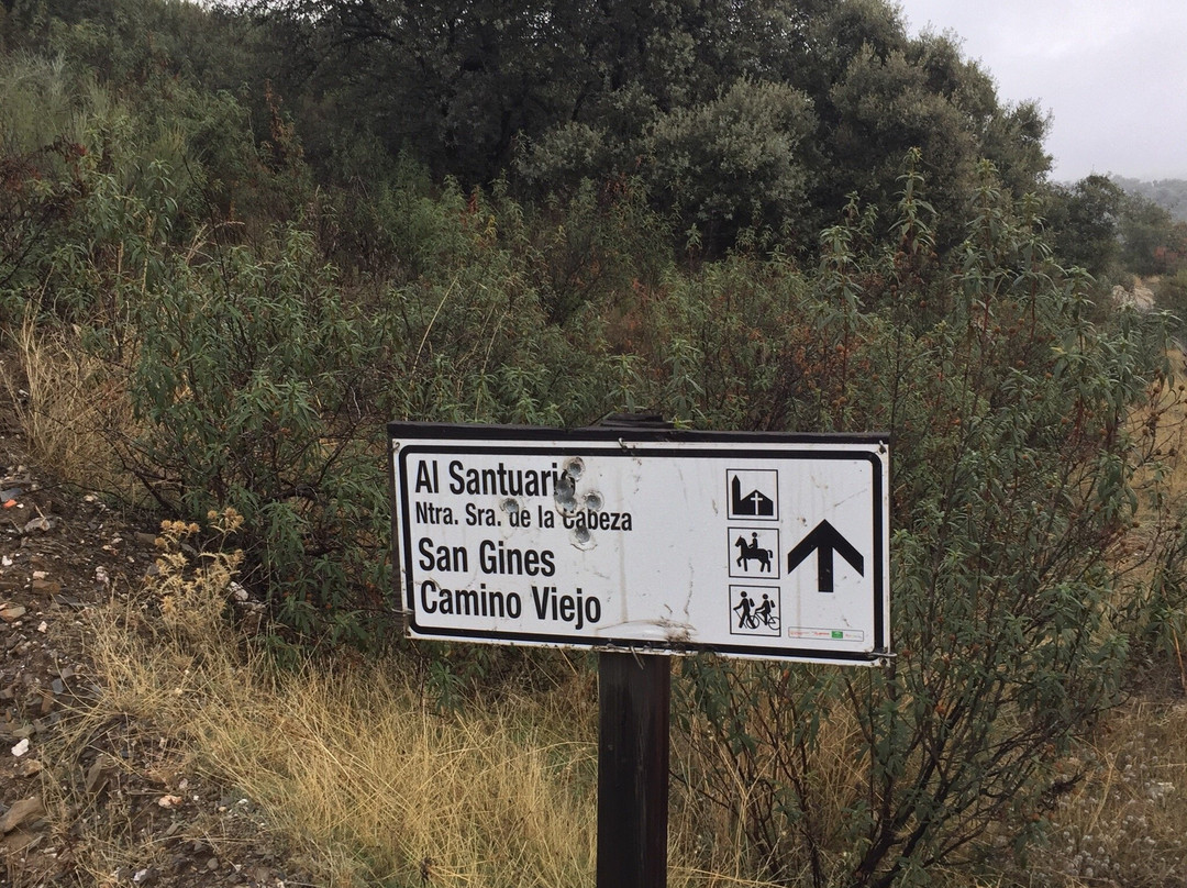 Camino Virgen de la Cabeza景点图片