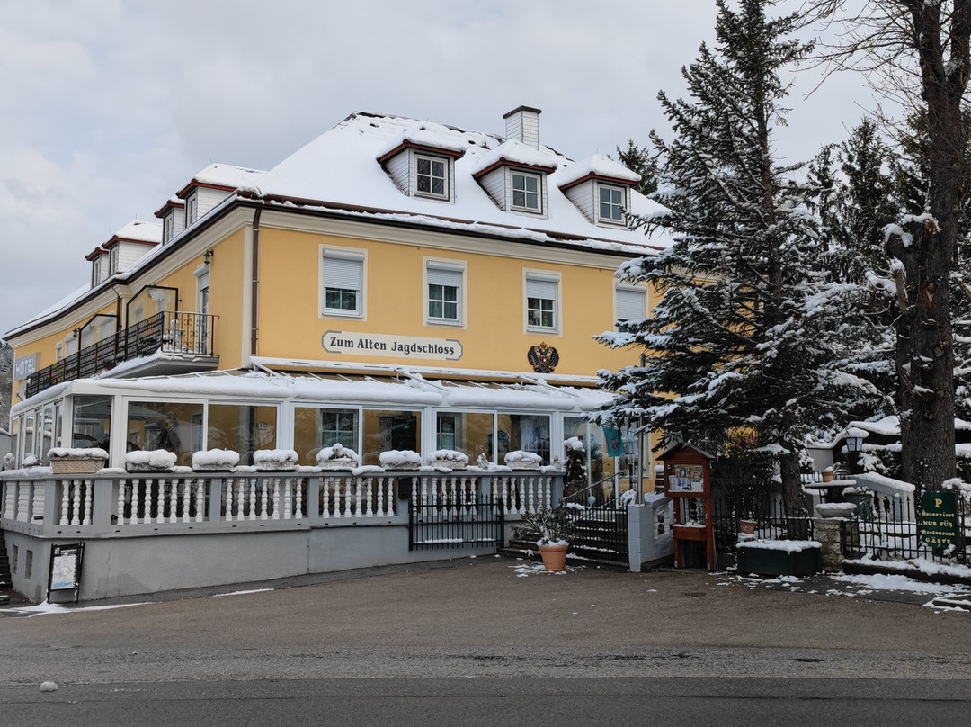 梅耶林餐馆和美食-Gasthof zum Alten Jagdschloss