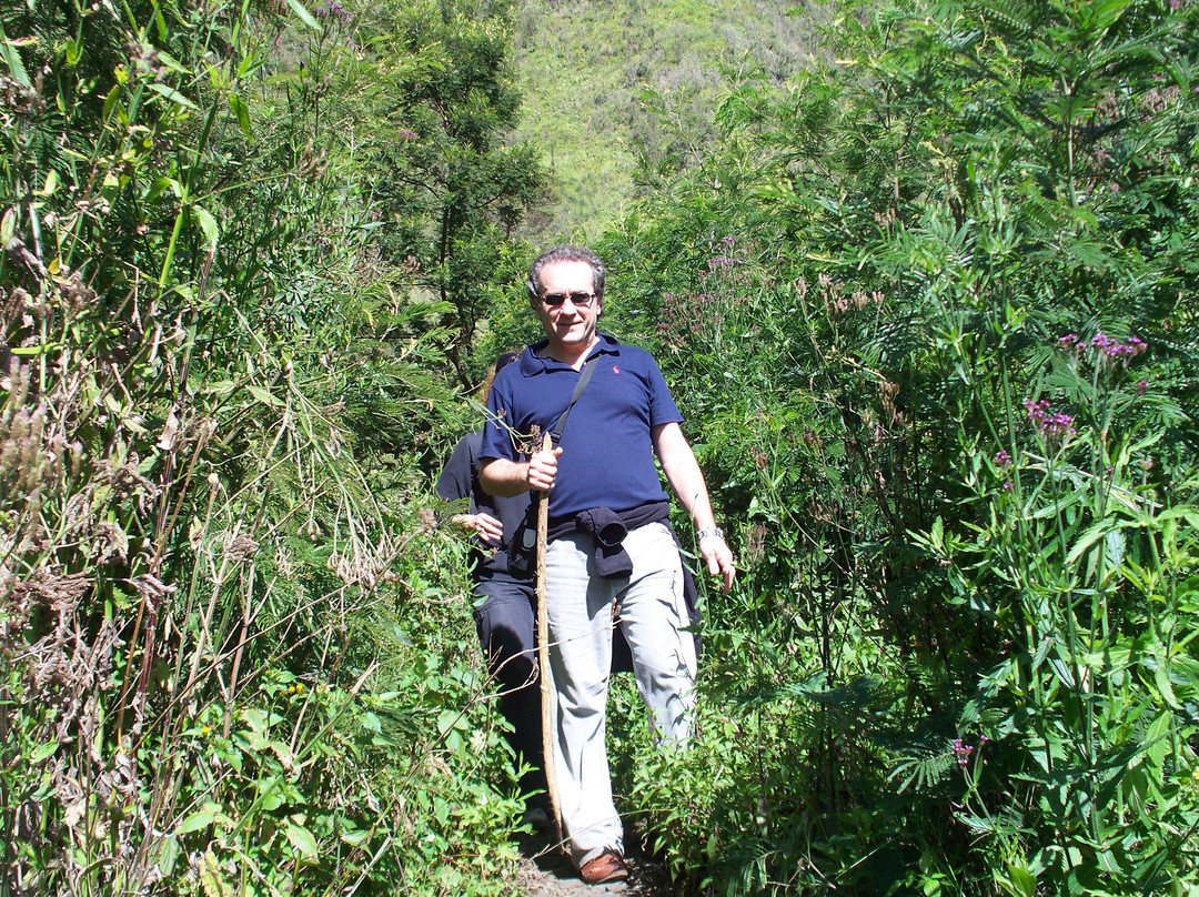 Java Exotic Tour-Yogyakarta必去景点