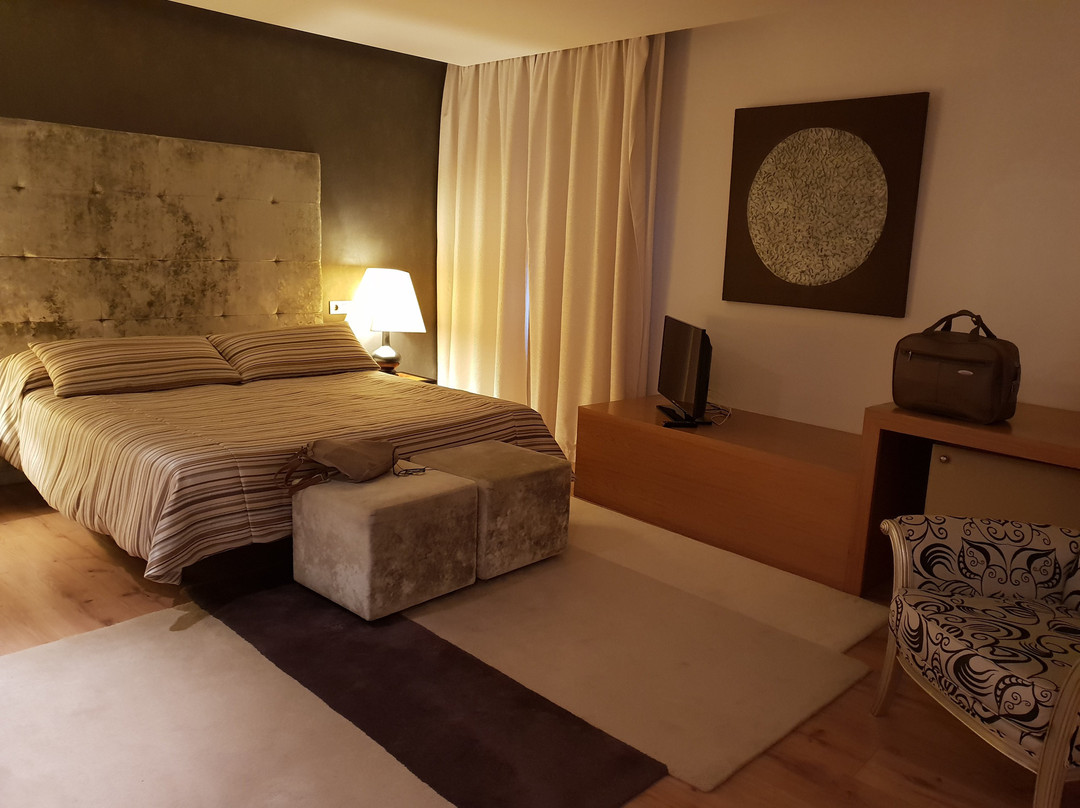 Hotel Palau dels Osset主图