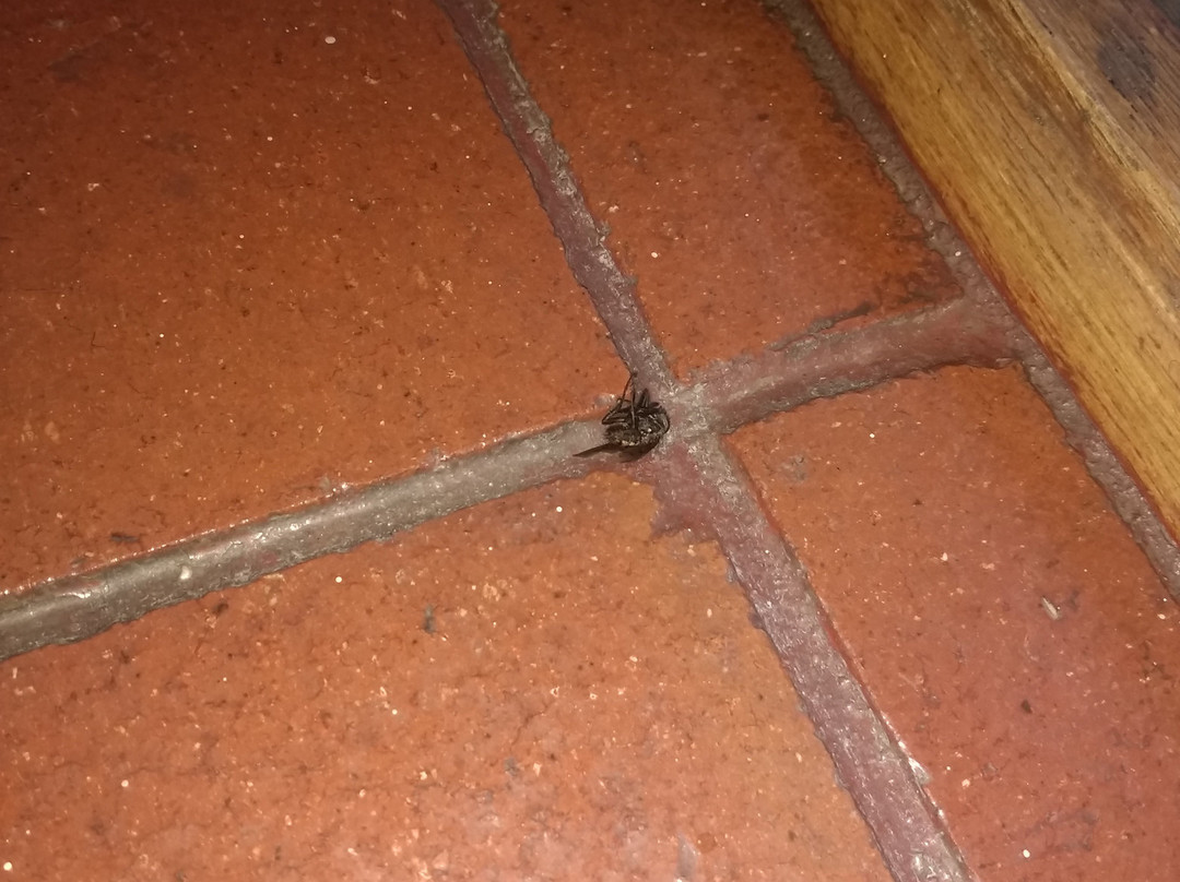 Mountainview Inn主图