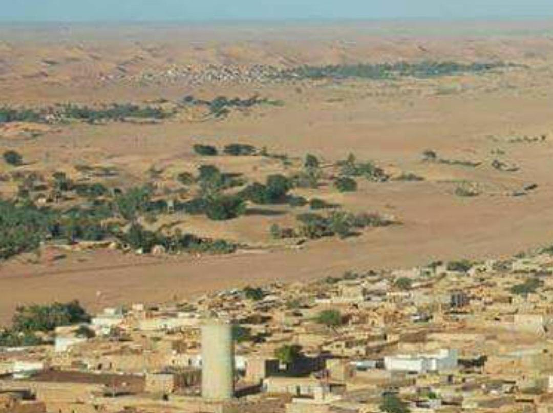 Mauritania Best Tours-诺克少必去景点