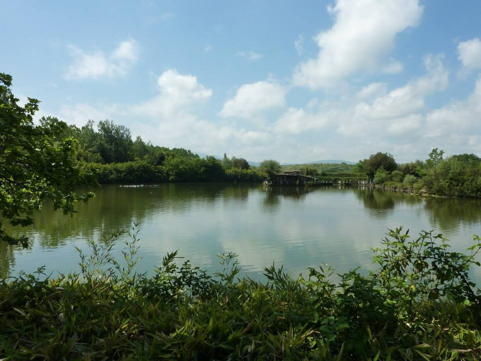 Selva di Paliano景点图片
