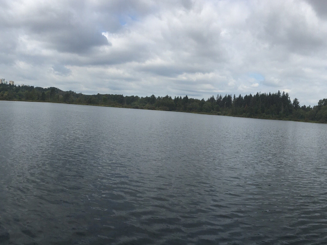 Deer Lake Boat Rentals景点图片