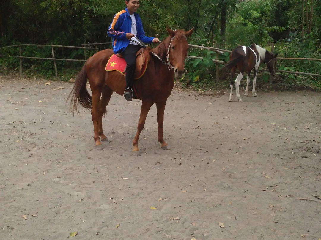 Bale Kuda Stable-Sleman District必去景点