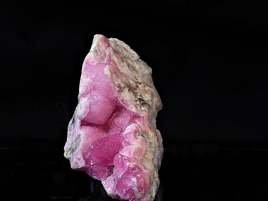 Naturens Mangfold & All Verdens Mynter-奥斯陆必去景点