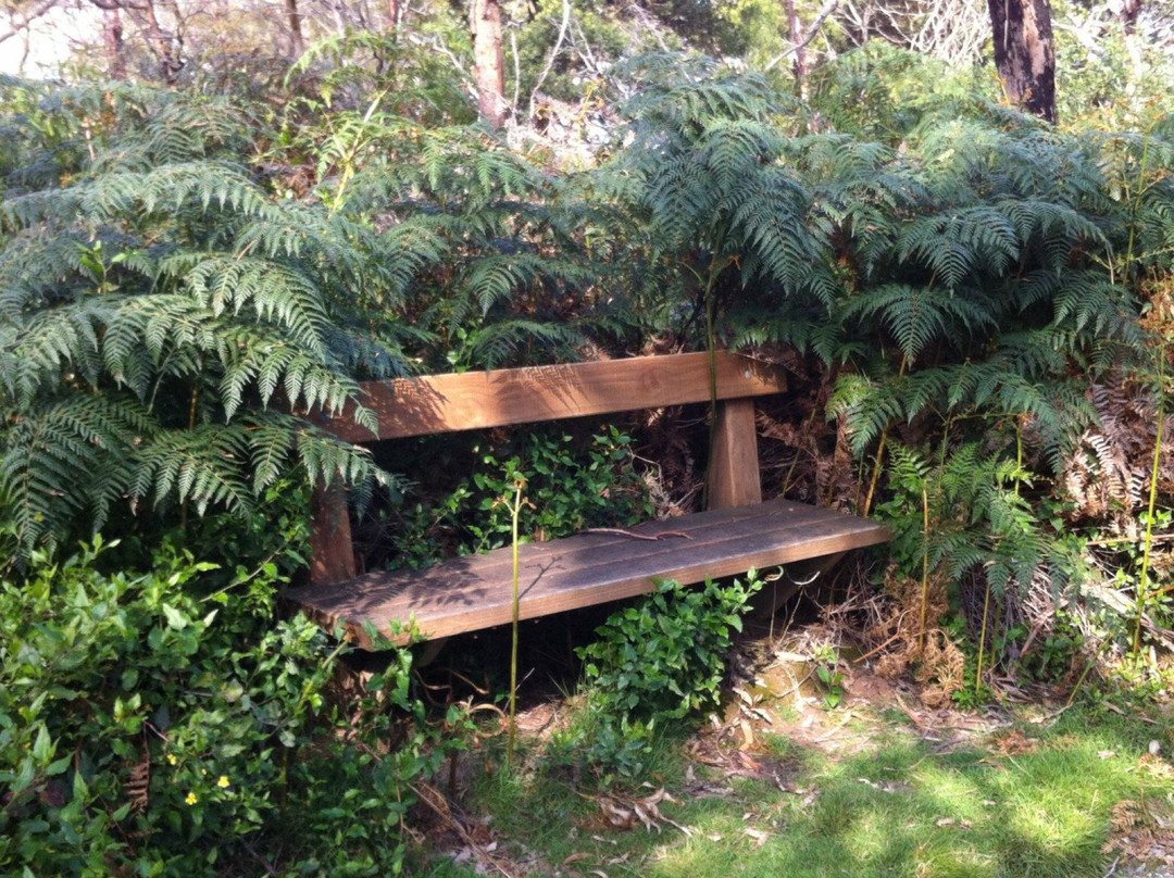 F Oswin Robert Koala Reserve-菲利普岛必去景点