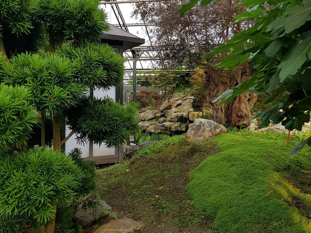 Watertuin Naaldwijk-纳尔德韦克必去景点