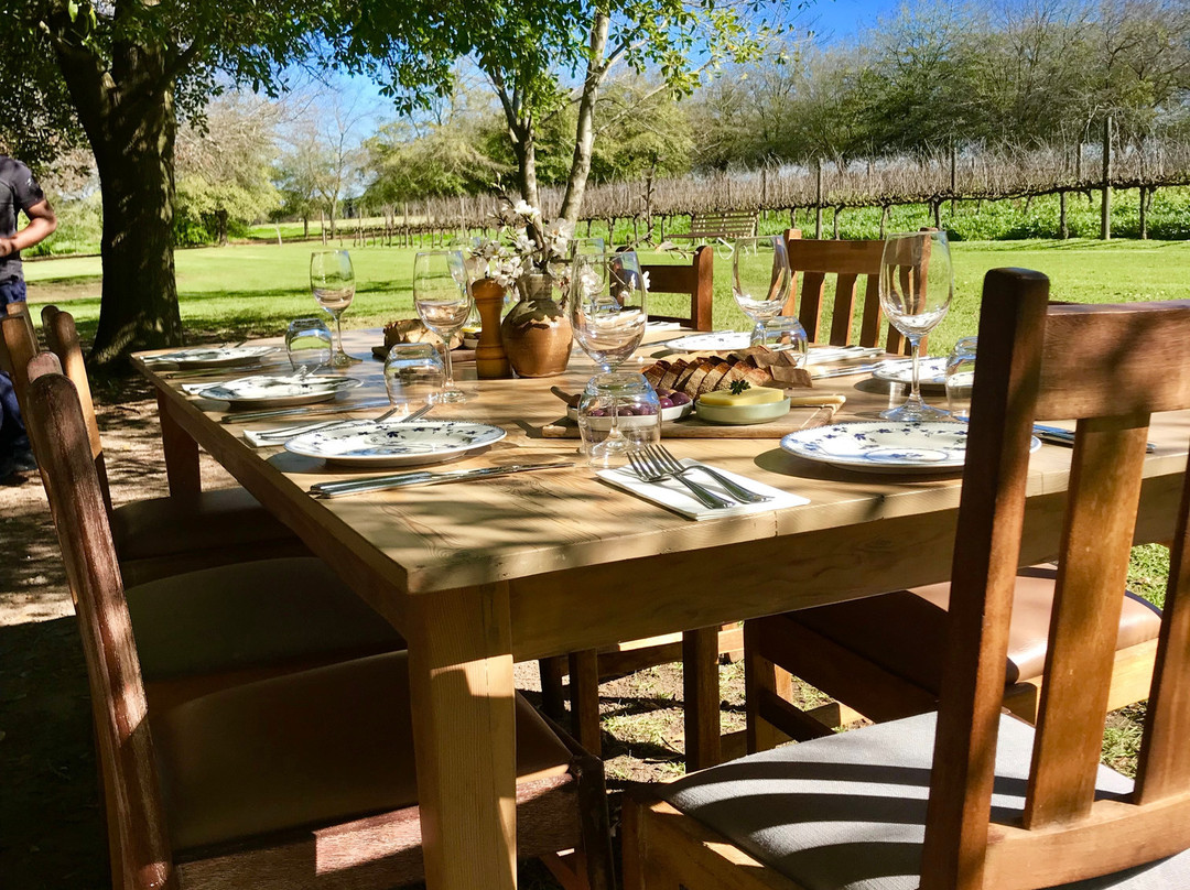 De Meye Wines-斯泰伦博斯必去景点