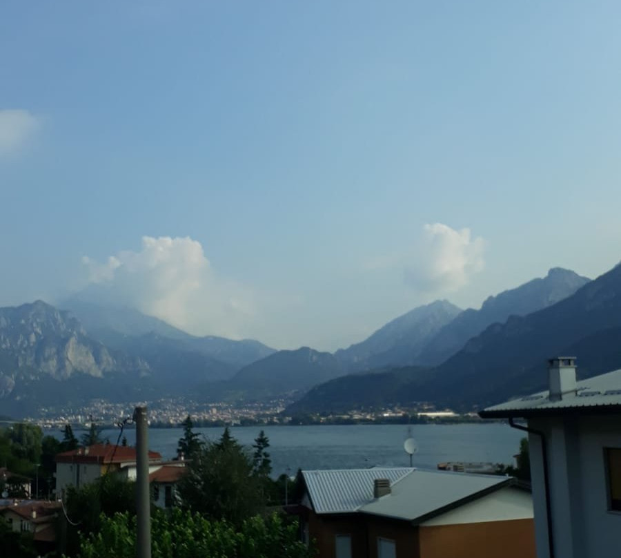 Ai Due Vecchi Ulivi主图