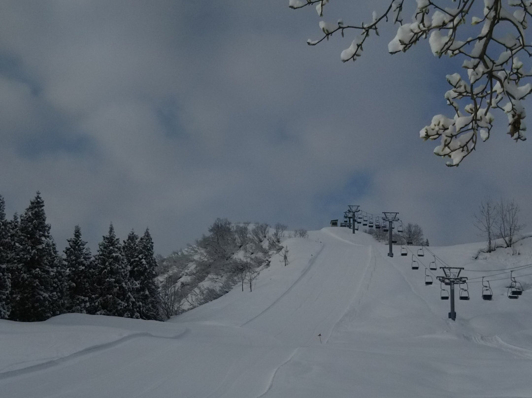 Koide Ski Area景点图片