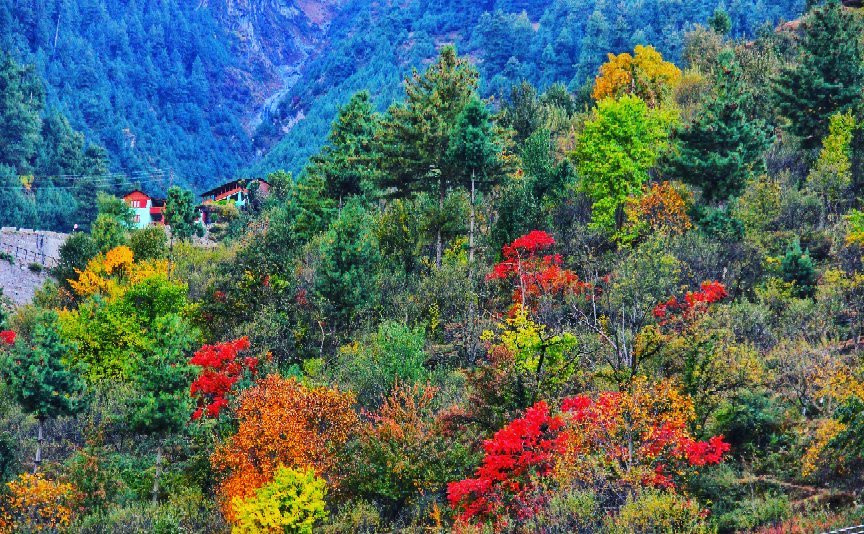 Kugti Wildlife Sanctuary景点图片