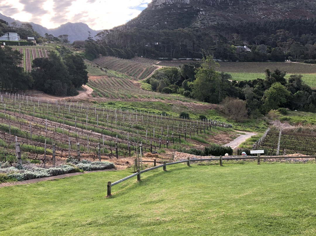 Constantia Glen Winery景点图片