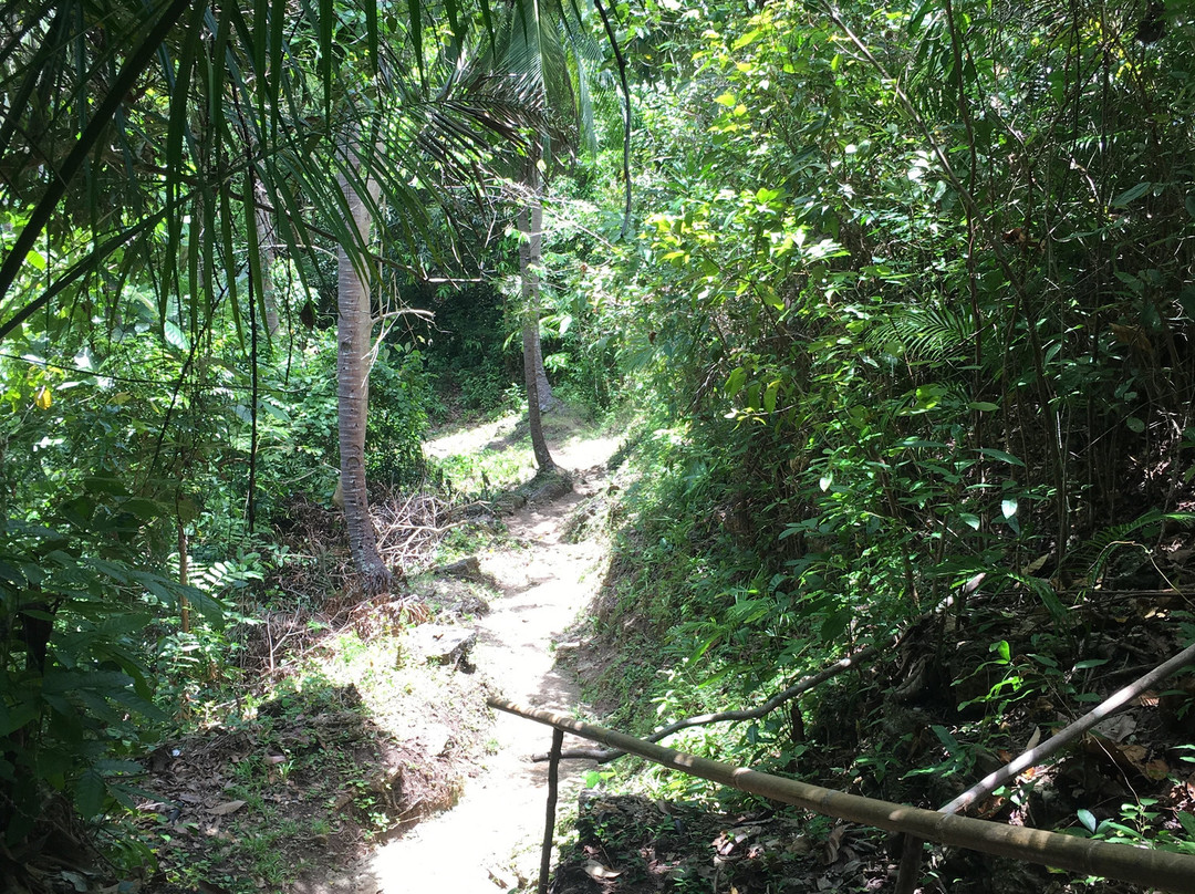 Locong Falls景点图片