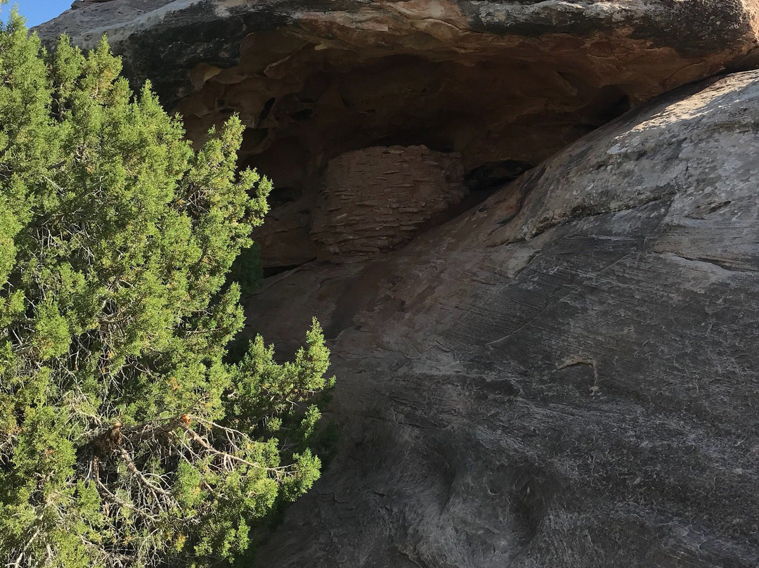 Roadside Ruin Trail景点图片