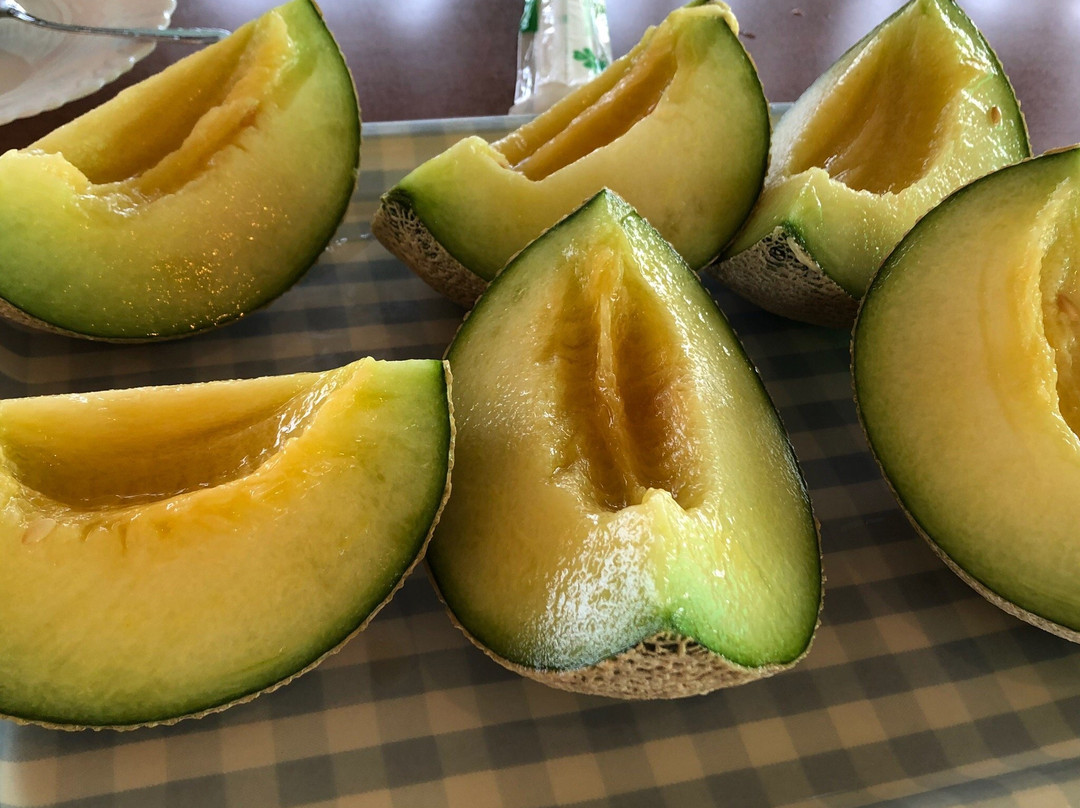 Kinokuni Farm-御坊市必去景点