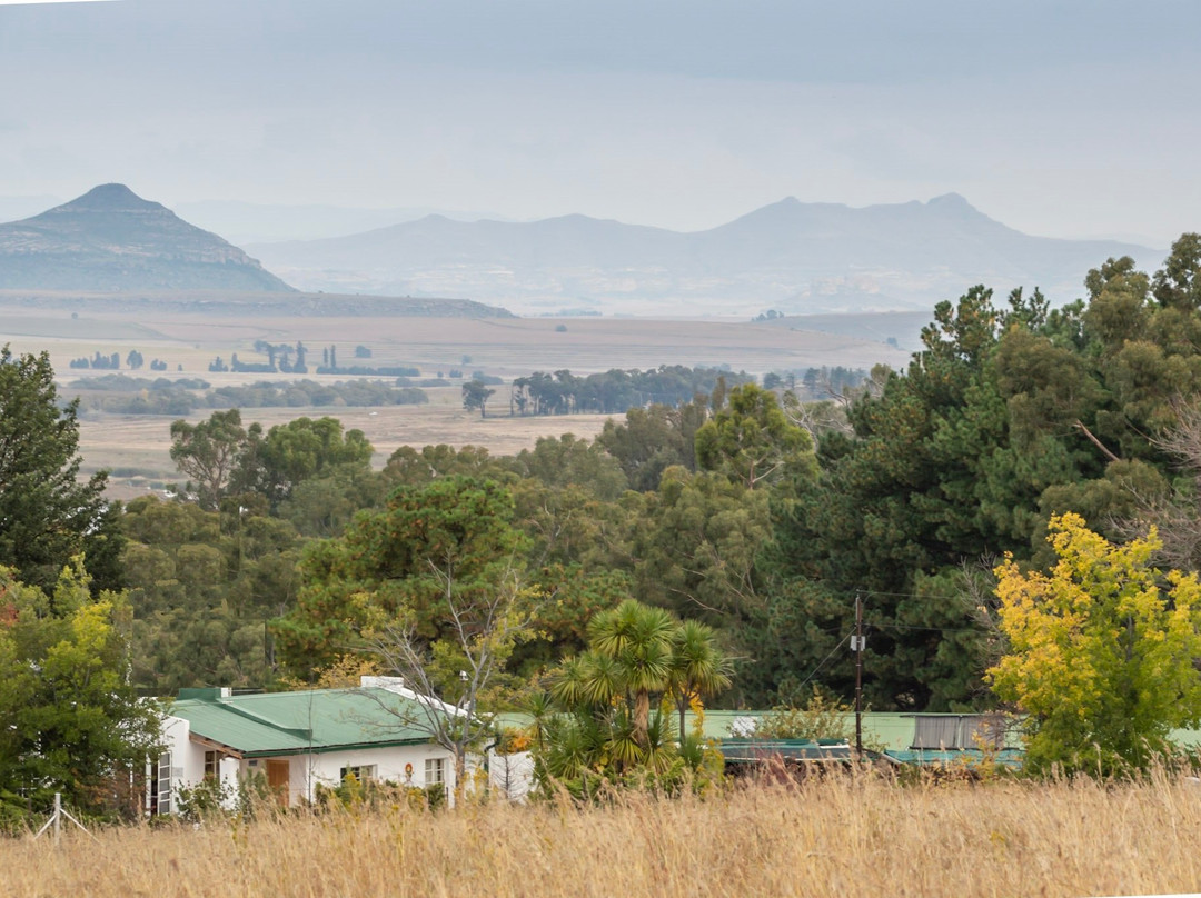 Petronella Guest House主图