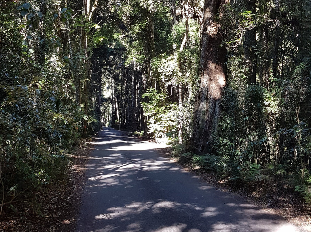 Kamarun Lookout-Scenic Rim必去景点