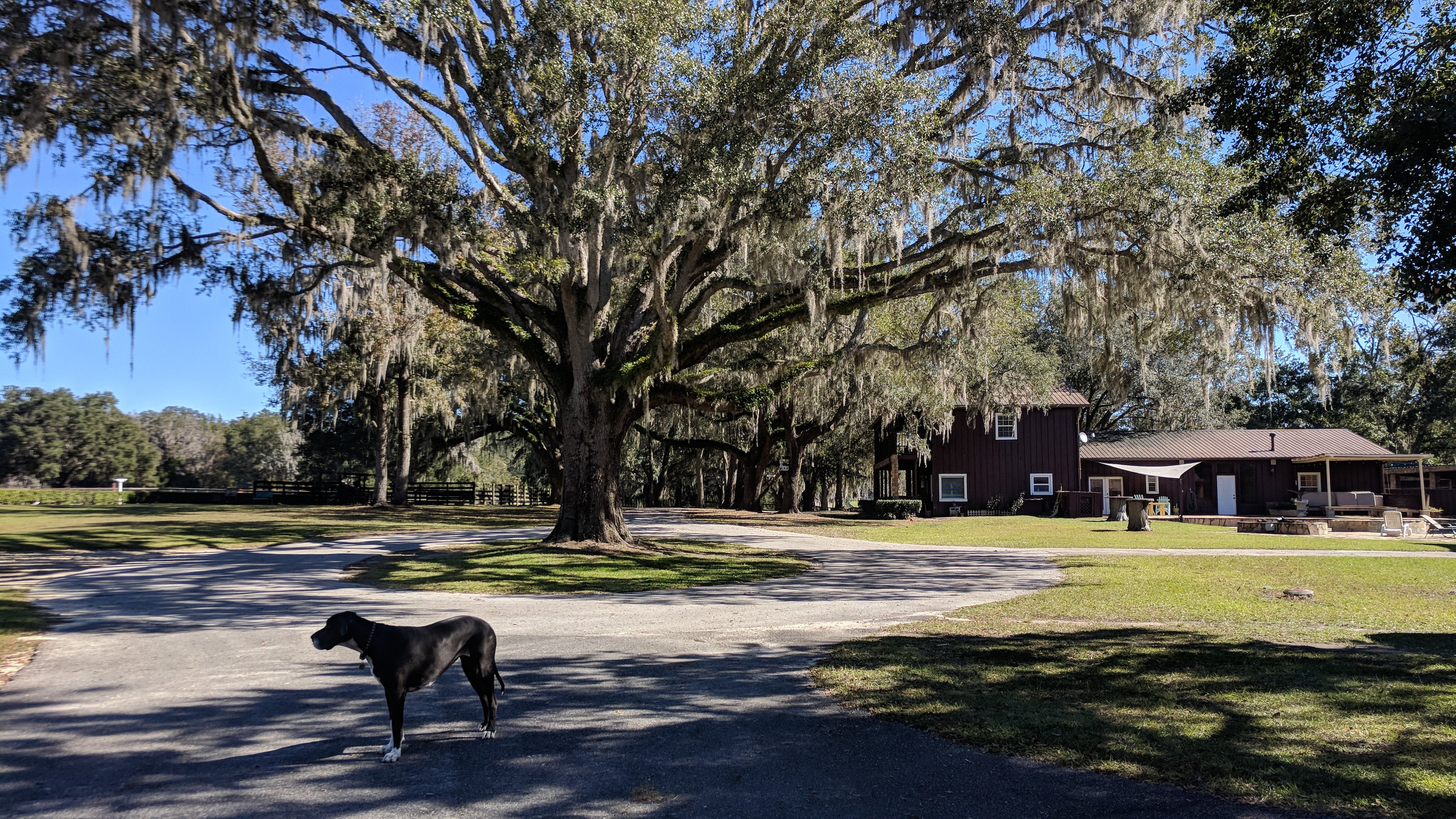 Hope Hall Farm-浴室