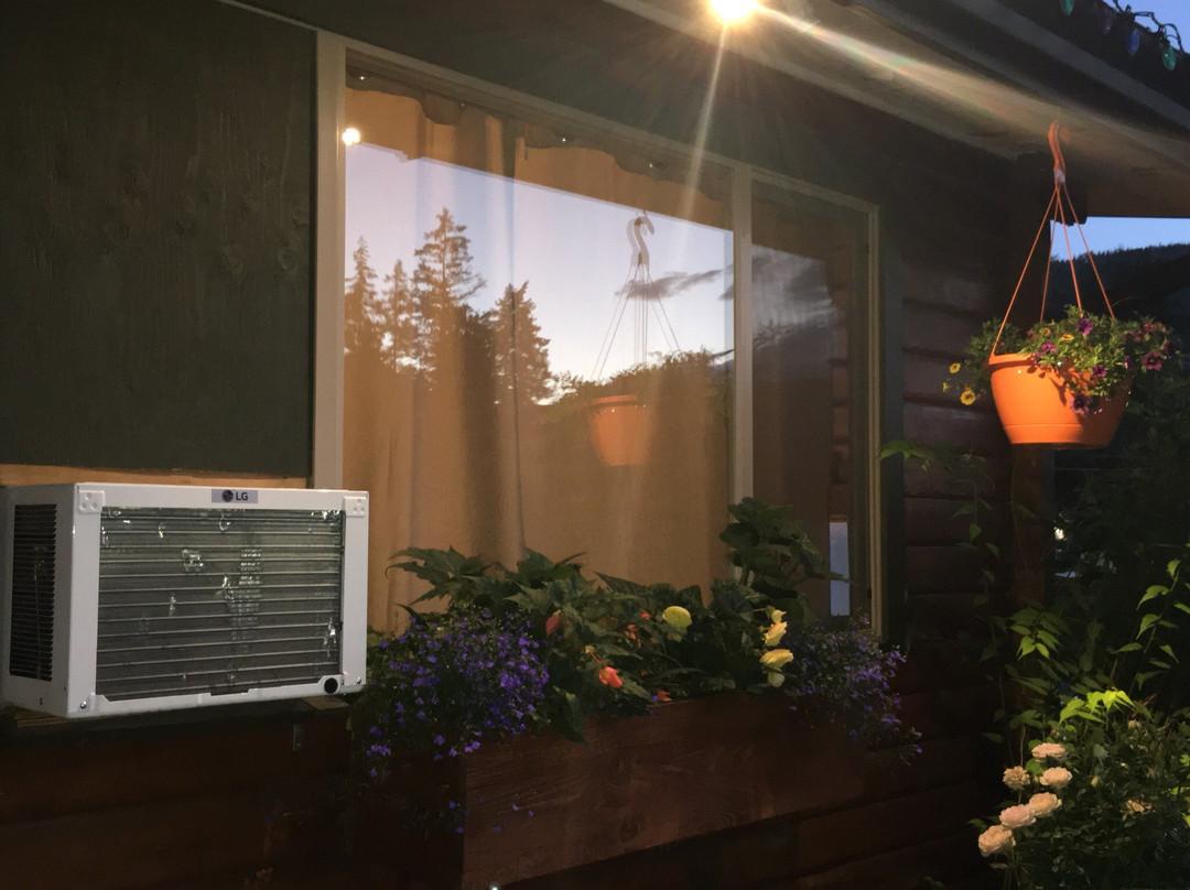 The Cedars Motel主图