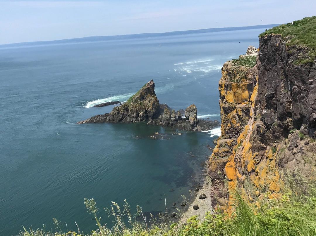 Cape Split Hiking Trail景点图片