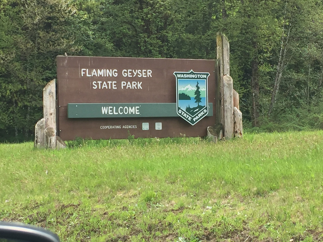 Flaming Geyser State Park景点图片