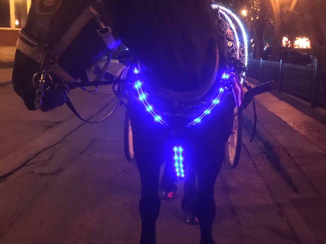 Northstar Carriage-达拉斯必去景点