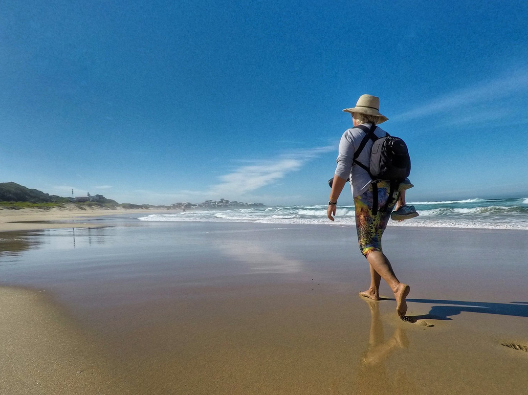 Garden Route Trail-荒野必去景点