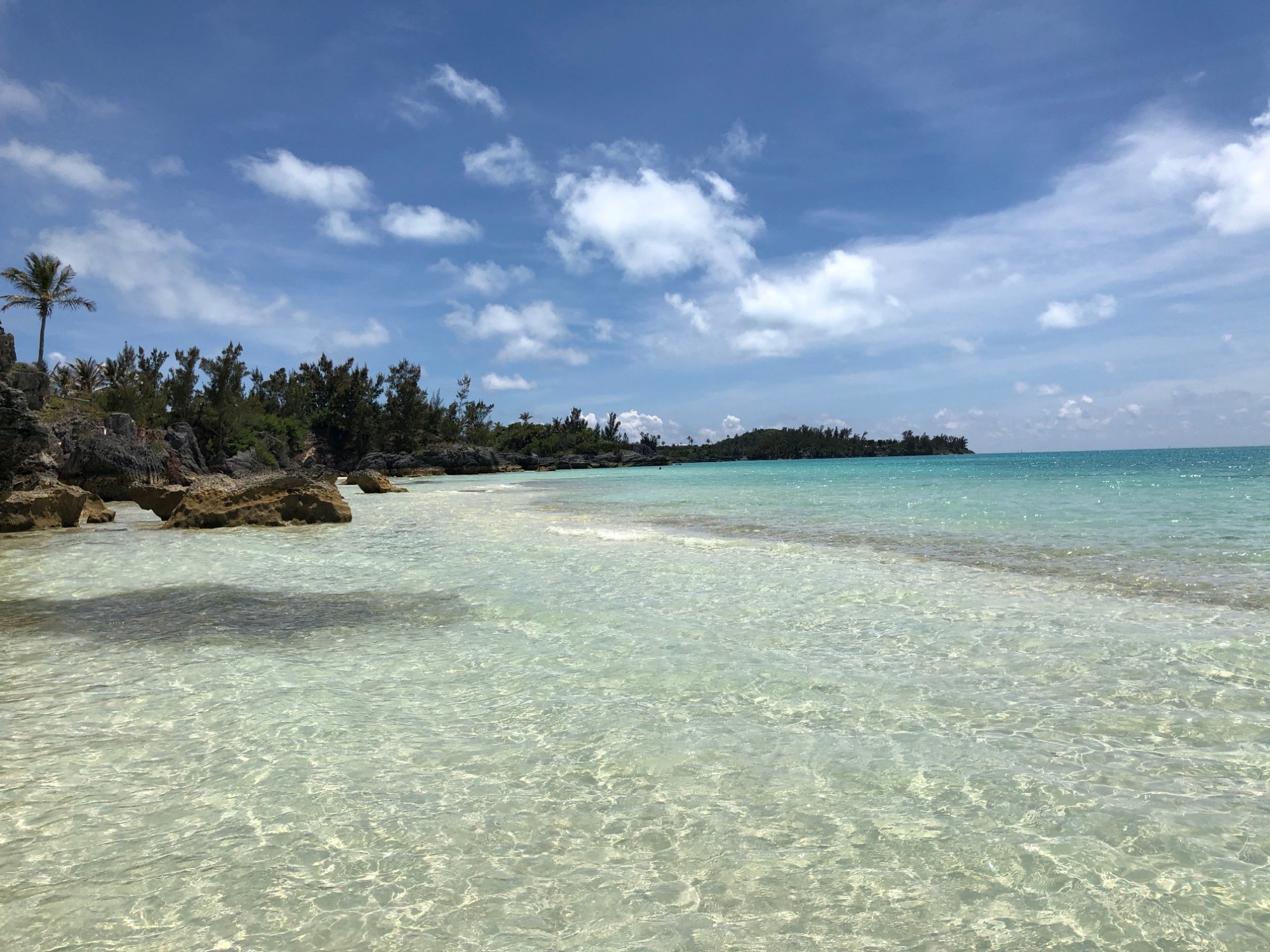 Willowbank Resort-泳池