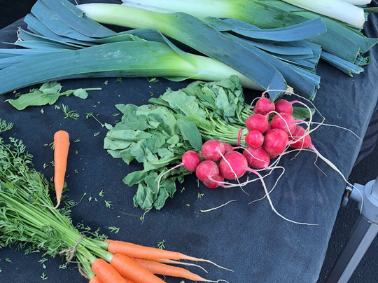 Parnell Farmers' Market-奥克兰中心地区必去景点